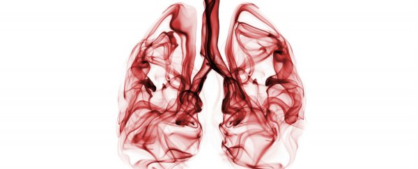 Scientists create ‘mini lungs’ to fight cystic fibrosis