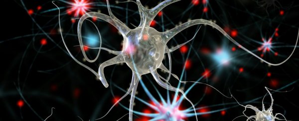 Common hypertension drug shows promise against Parkinson’s disease