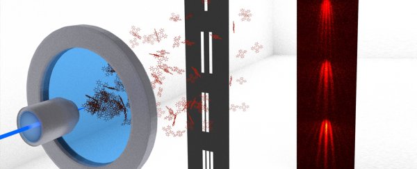 Quantum weirdness has been tested beyond the particle scale for the first time