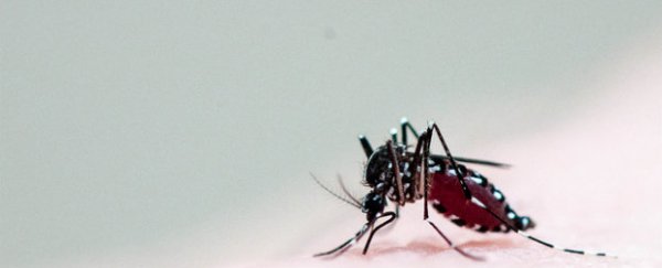 Scientists have identified the gene that makes mosquitoes crave human blood