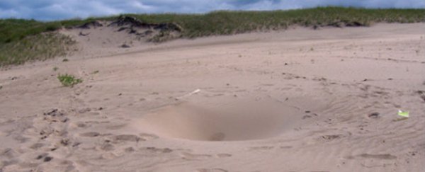 The mystery of the 'man-eating' sand dune holes that swallowed a 6-year-old