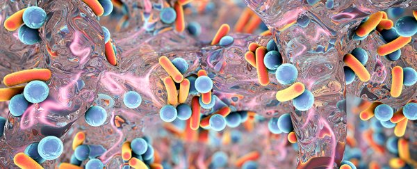 Antibiotics might be stopping immune cells from working properly