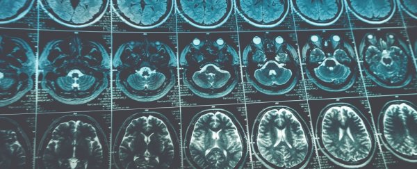 This Incredible Virus Attacks Brain Cancer And Actually Boosts Our Immune System