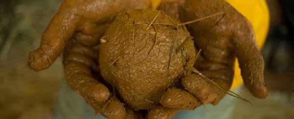 New research suggests Earth started its days as a giant ball of mud