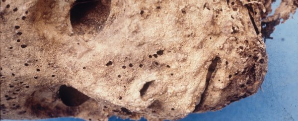 This 400-year-old mummy could change our understanding of Hepatitis B
