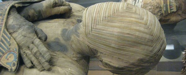 Thousand-year-old Egyptian mummies found floating in sewage