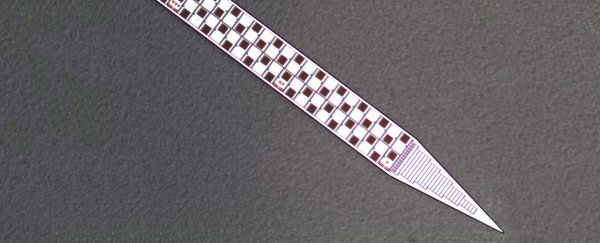 This incredibly tiny probe can record brain activity like we've never seen before
