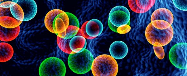 Researchers are developing nanodiscs that can wipe out tumours