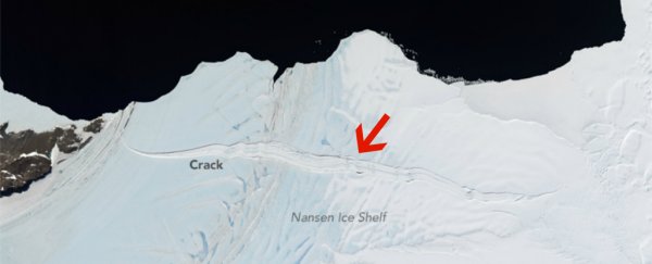 An ice shelf twice the size of Manhattan is about to break off from Antarctica