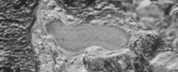 NASA thinks it's found a frozen lake on Pluto's surface