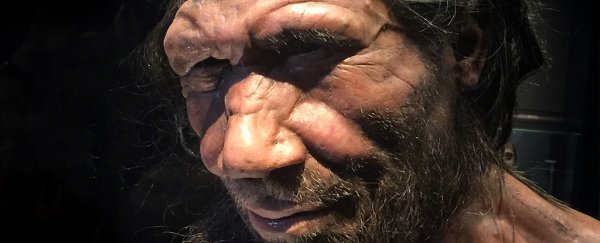 New DNA from a Neanderthal bone holds evidence of a lost tribe of humans