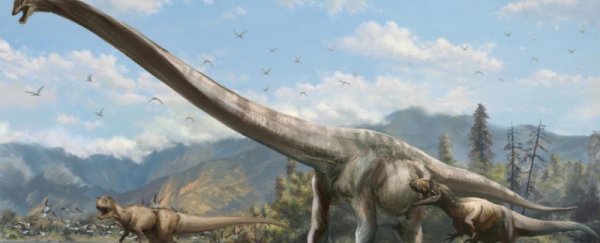 Super-long-necked dinosaur may have inspired ancient dragon stories