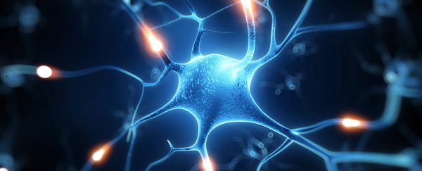 Scientists are using mobile mitochondria to repair damaged nerve cells