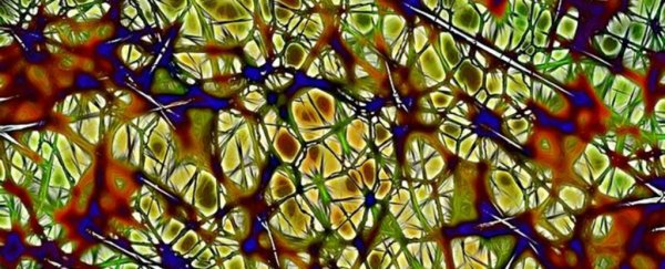 Scientists have discovered a new method of potentially repairing nerve damage
