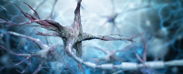This powerful new painkiller could be the unexpected ticket to replacing opioids