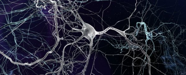 New protein-blocking drug could halt age-related memory loss