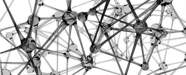 Scientists have launched the first open-access database for neurons