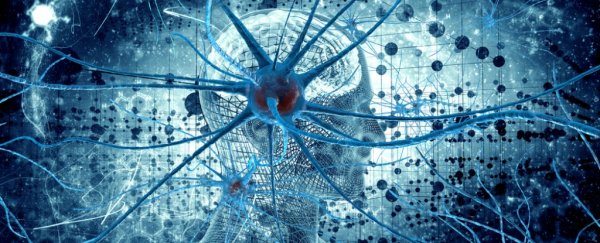 What exactly is consciousness, and can we replicate it?