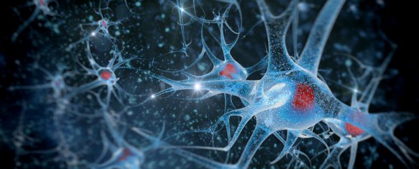 New drug appears to stave off memory loss in Alzheimer’s patients for years