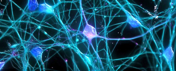 Scientists have figured out how to help nerve fibres repair themselves
