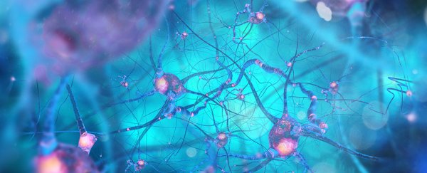 A confused immune system could be behind Parkinson's disease