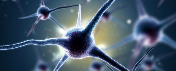 Memories of Alzheimer's patients may not be lost forever