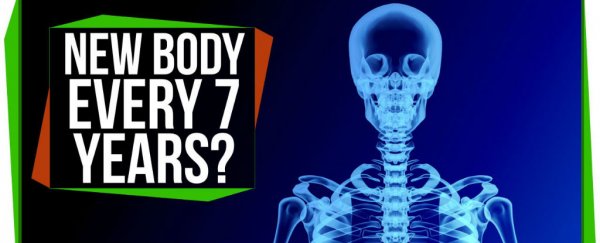 WATCH: Does your body really regenerate itself every 7 years?