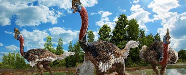 The newest dinosaur to be discovered looks just like a modern-day bird