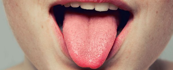 Scientists have discovered a new taste, and it could help us treat obesity