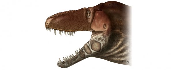 Scientists have discovered a brand new tyrannosaur with a super-sensitive face