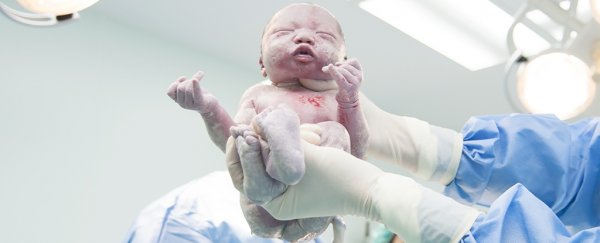 New evidence suggests we were wrong about where our bodies get their microbes