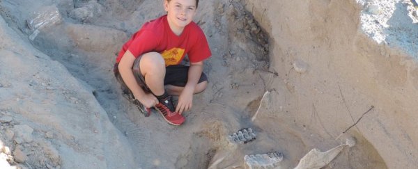 These boys thought they'd found a 'big, fat, rotten cow'. It was a 1 million-year-old Stegomastodon