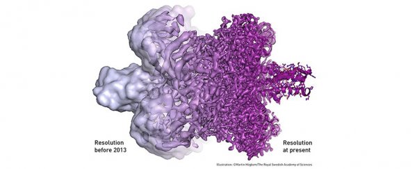 Nobel Prize in Chemistry awarded for work that achieved crazy high-res in microscopy