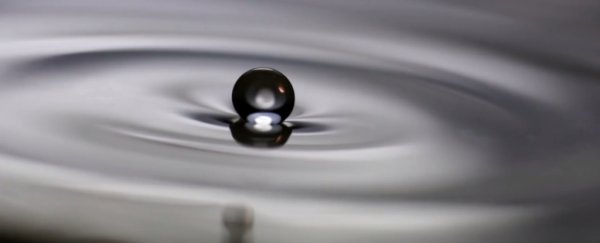 MIT scientists discover how droplets can levitate on a liquid surface