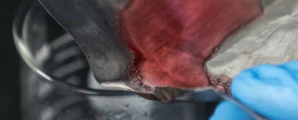 This new mesh captures oil, but lets water filter through