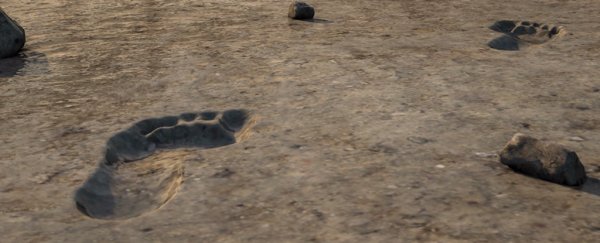 Hundreds of ancient human footprints have been discovered near an African volcano