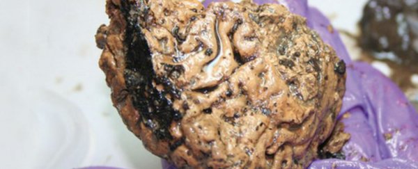 Decapitated skull contains oldest brain ever discovered