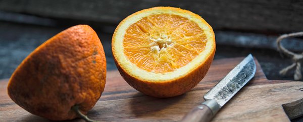 Mixing vitamin C with antibiotics is surprisingly effective at killing off cancer stem cells