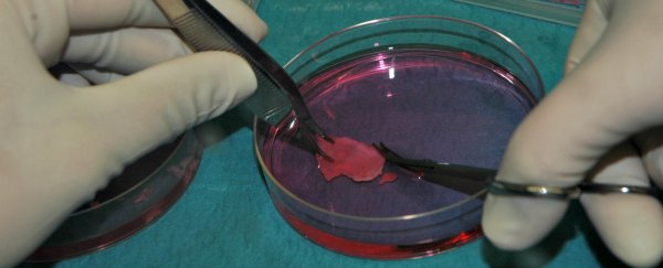 First baby born from ovary tissue frozen during mother’s childhood