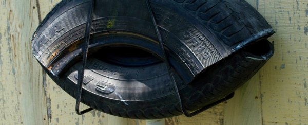 This mosquito egg trap made from old tyres could help stop Zika