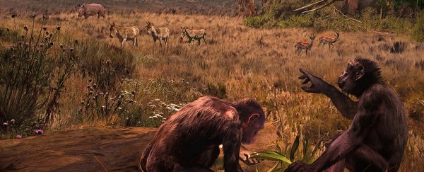 The oldest hominins could have lived in Europe, not Africa, claims new study