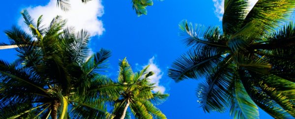 The world's tropical zone is expanding, and we should all be worried