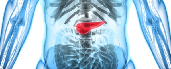 A Bioengineered 'Pancreas' Has Ended One Diabetic's Need For Insulin
