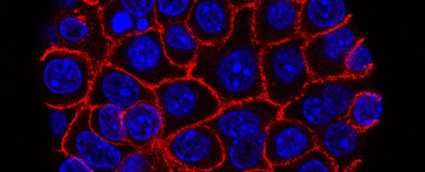 New treatment improves pancreatic cancer survival rate for the first time in a decade