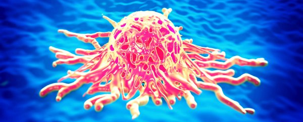 Pancreatic cancer is really four separate cancers, scientists find