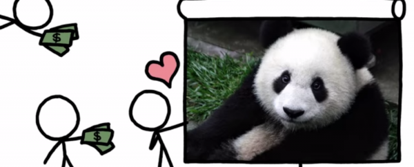 WATCH: Should we let pandas go extinct?