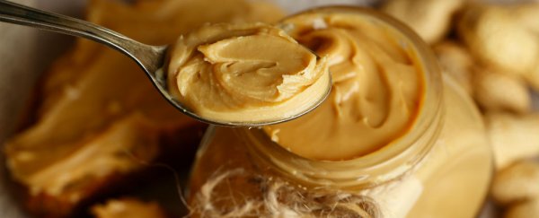 Clinical trial shows peanut allergy can be prevented by early consumption