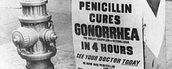 The Meningococcal B vaccine also increases protection from Gonorrhoea