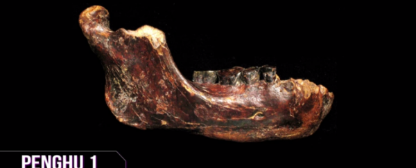 WATCH: Music in your DNA and a new species of human?