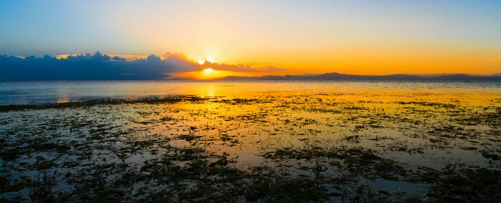 Scientists Have Found Signs of an Ancient Hidden Sea Off The Philippine Coast